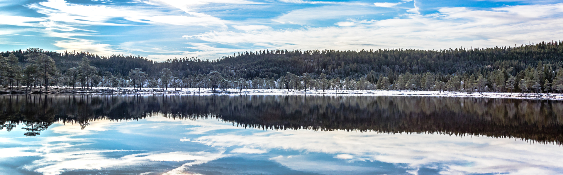 Foto vinterlandskap